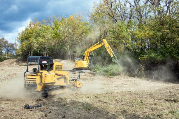 Terrain Clearing in Honolulu